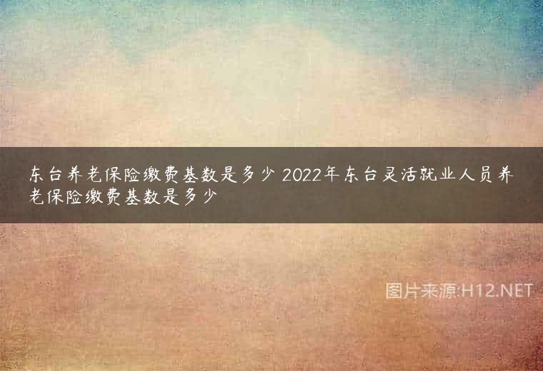 东台养老保险缴费基数是多少 2022年东台灵活就业人员养老保险缴费基数是多少
