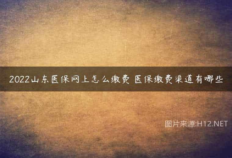 2022山东医保网上怎么缴费 医保缴费渠道有哪些