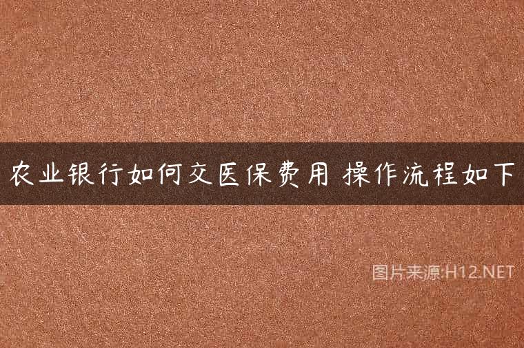 农业银行如何交医保费用 操作流程如下