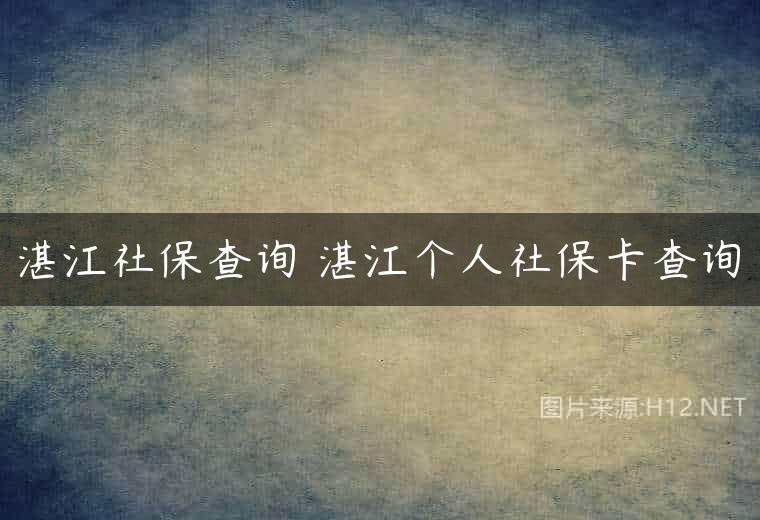 湛江社保查询 湛江个人社保卡查询