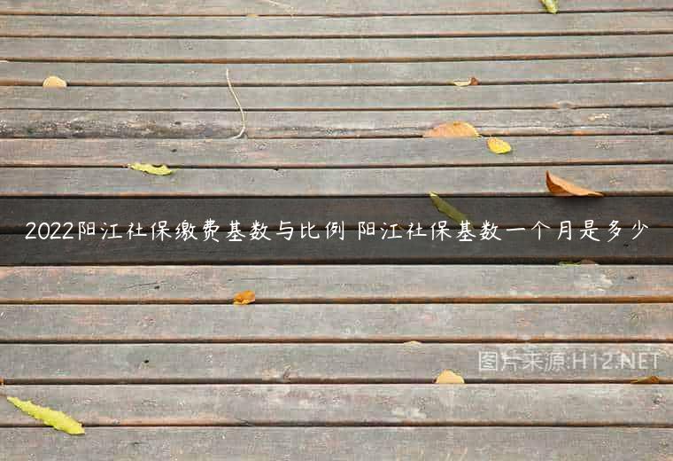 2022阳江社保缴费基数与比例 阳江社保基数一个月是多少