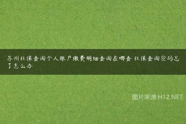苏州社保查询个人账户缴费明细查询在哪查 社保查询密码忘了怎么办