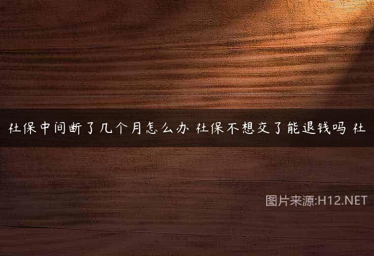 社保中间断了几个月怎么办 社保不想交了能退钱吗 社
