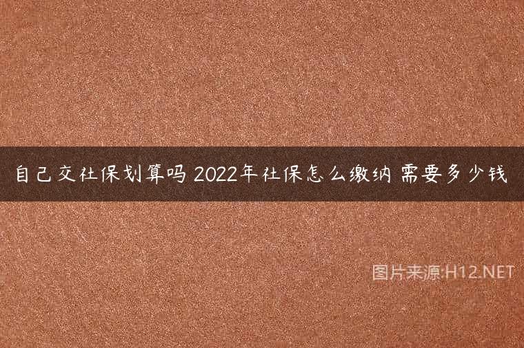 自己交社保划算吗 2022年社保怎么缴纳 需要多少钱