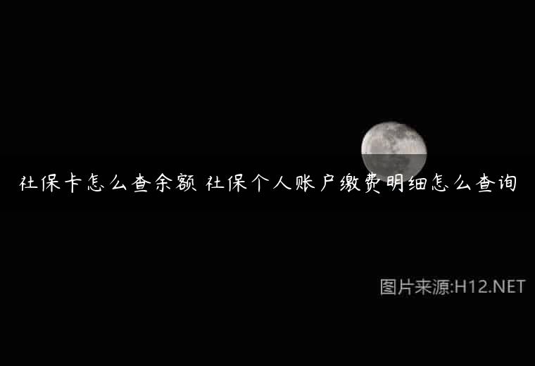 社保卡怎么查余额 社保个人账户缴费明细怎么查询