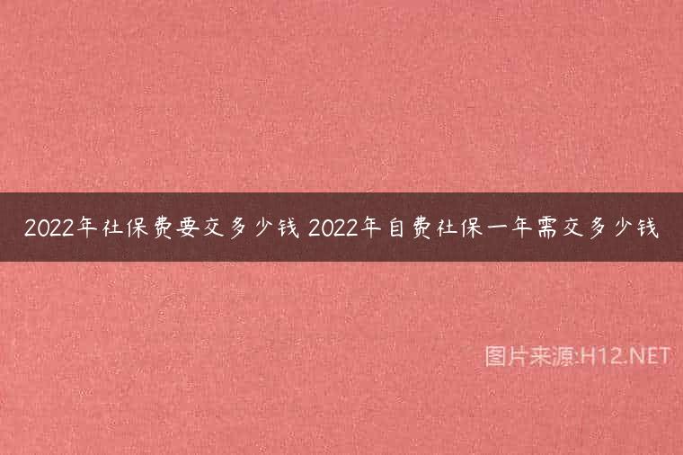 2022年社保费要交多少钱 2022年自费社保一年需交多少钱