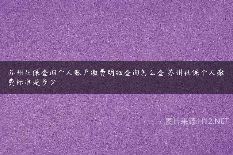 苏州社保查询个人账户缴费明细查询怎么查 苏州社保个人缴费标准是多少
