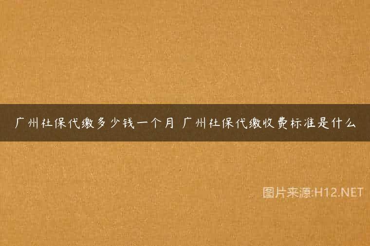 广州社保代缴多少钱一个月 广州社保代缴收费标准是什么