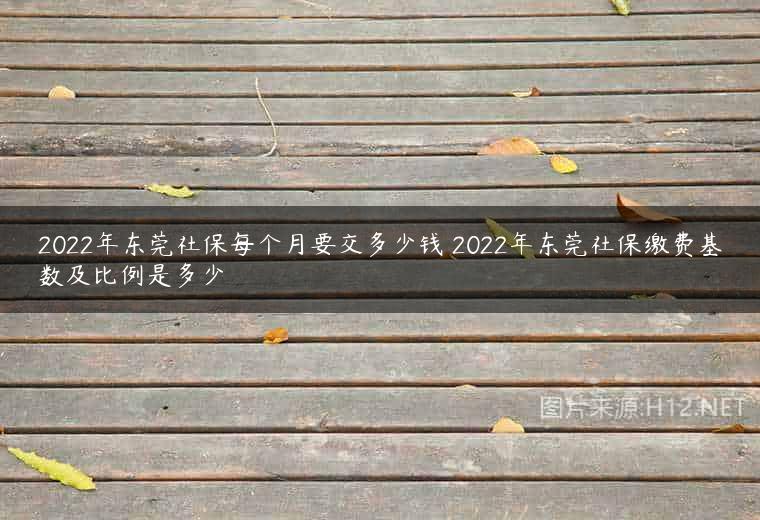 2022年东莞社保每个月要交多少钱 2022年东莞社保缴费基数及比例是多少