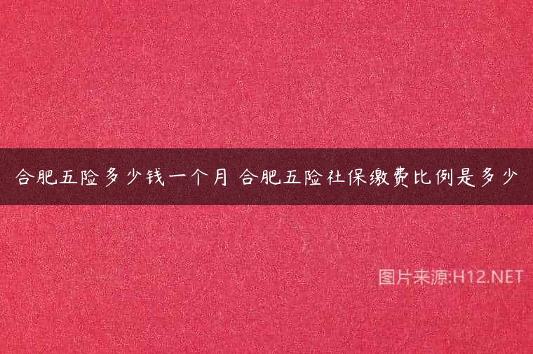 合肥五险多少钱一个月 合肥五险社保缴费比例是多少