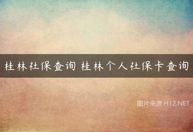 桂林社保查询 桂林个人社保卡查询