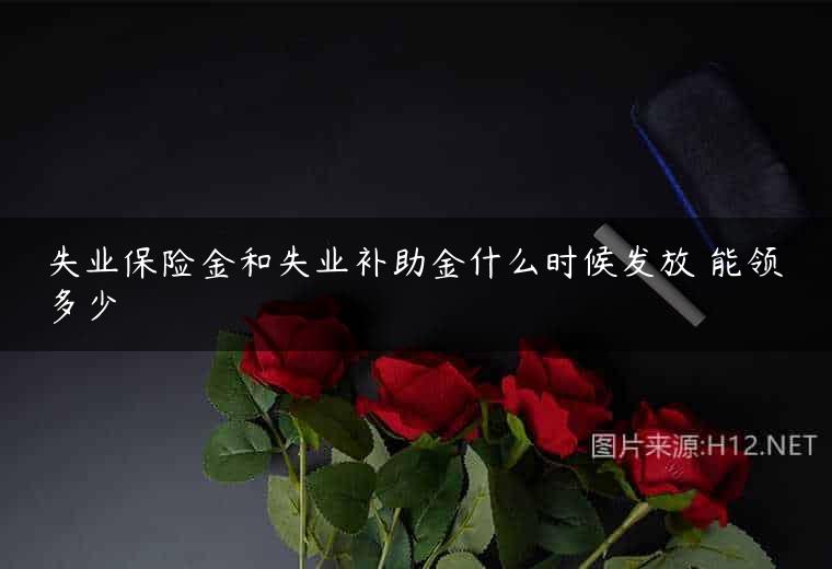 失业保险金和失业补助金什么时候发放 能领多少