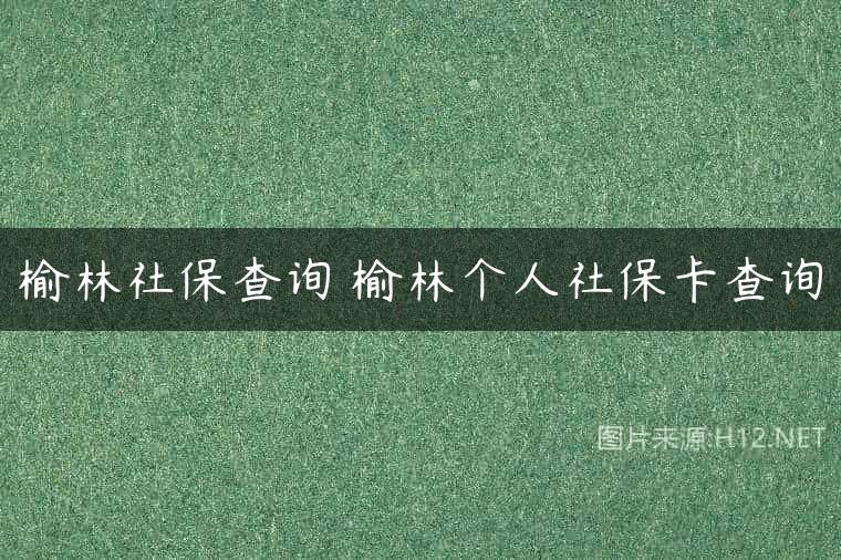 榆林社保查询 榆林个人社保卡查询