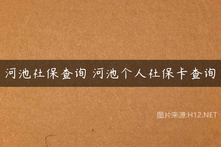 河池社保查询 河池个人社保卡查询