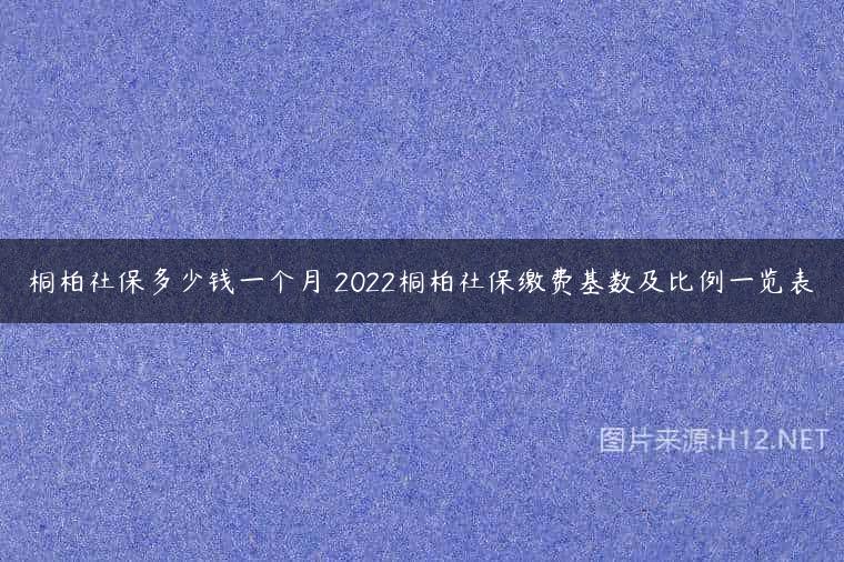 桐柏社保多少钱一个月 2022桐柏社保缴费基数及比例一览表