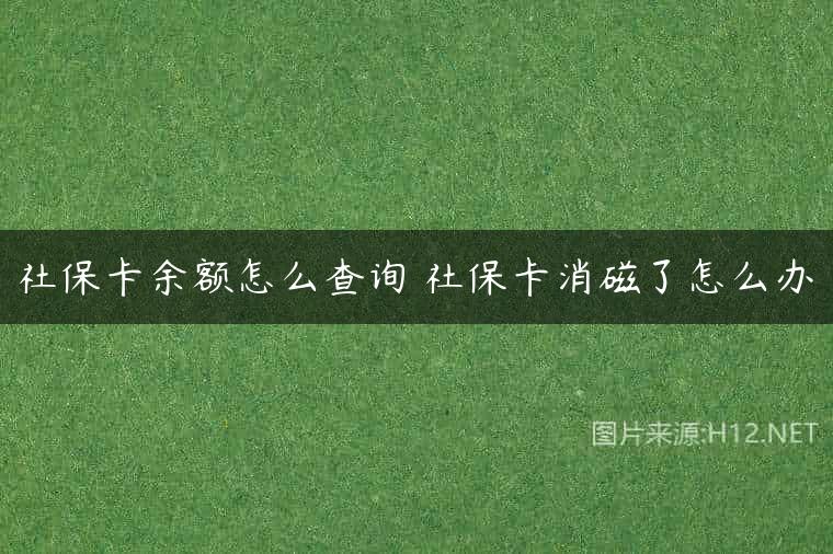 社保卡余额怎么查询 社保卡消磁了怎么办