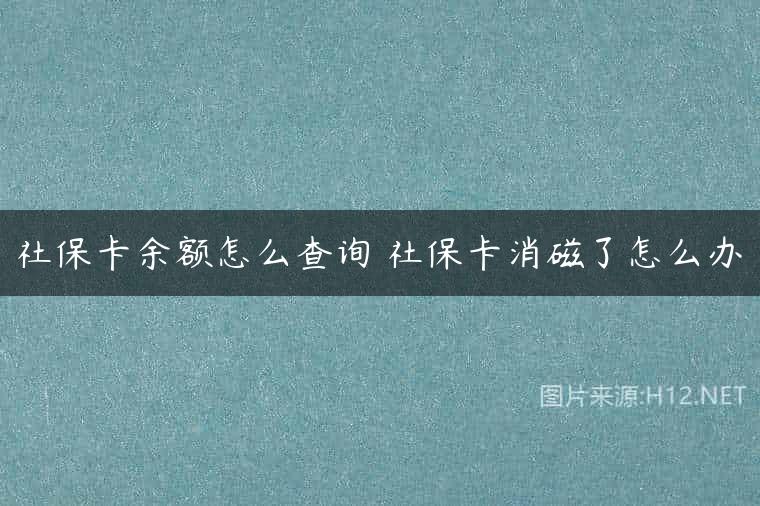 社保卡余额怎么查询 社保卡消磁了怎么办