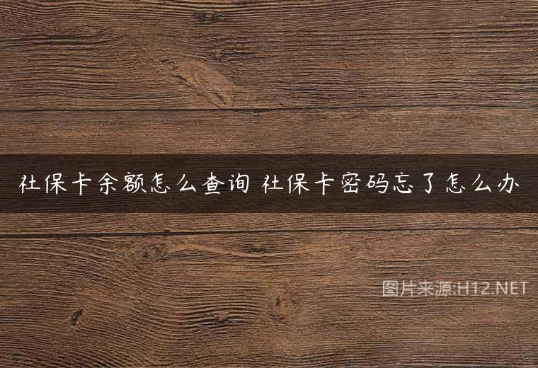社保卡余额怎么查询 社保卡密码忘了怎么办