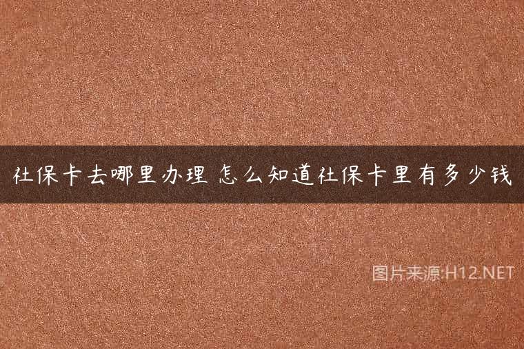 社保卡去哪里办理 怎么知道社保卡里有多少钱