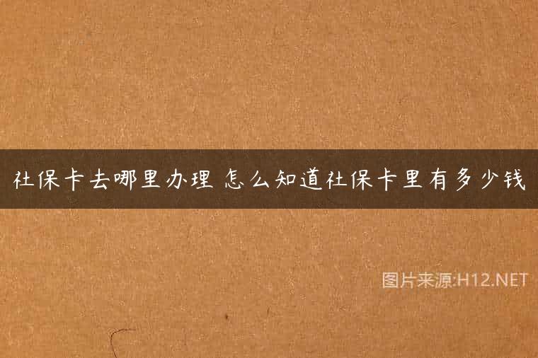 社保卡去哪里办理 怎么知道社保卡里有多少钱