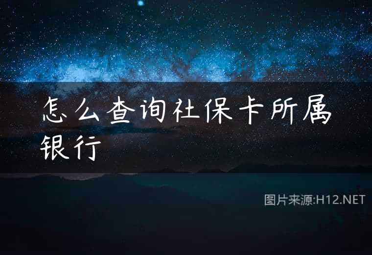 怎么查询社保卡所属银行