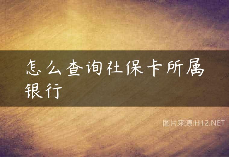 怎么查询社保卡所属银行