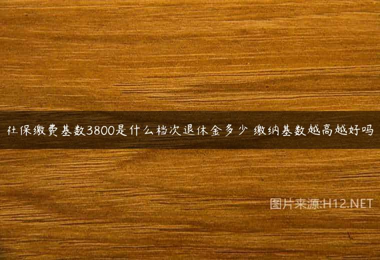 社保缴费基数3800是什么档次退休金多少 缴纳基数越高越好吗