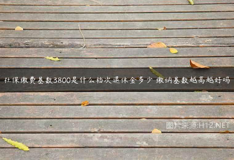 社保缴费基数3800是什么档次退休金多少 缴纳基数越高越好吗