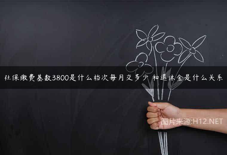 社保缴费基数3800是什么档次每月交多少 和退休金是什么关系