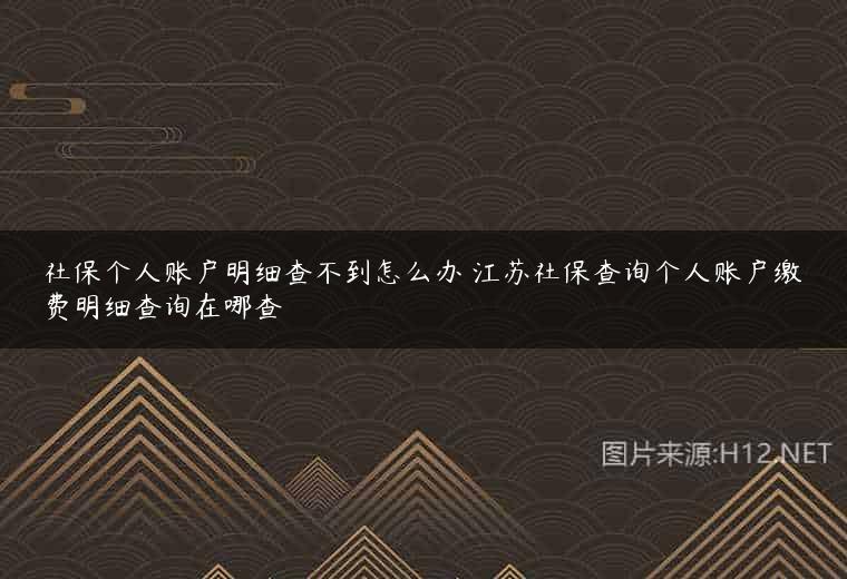 社保个人账户明细查不到怎么办 江苏社保查询个人账户缴费明细查询在哪查