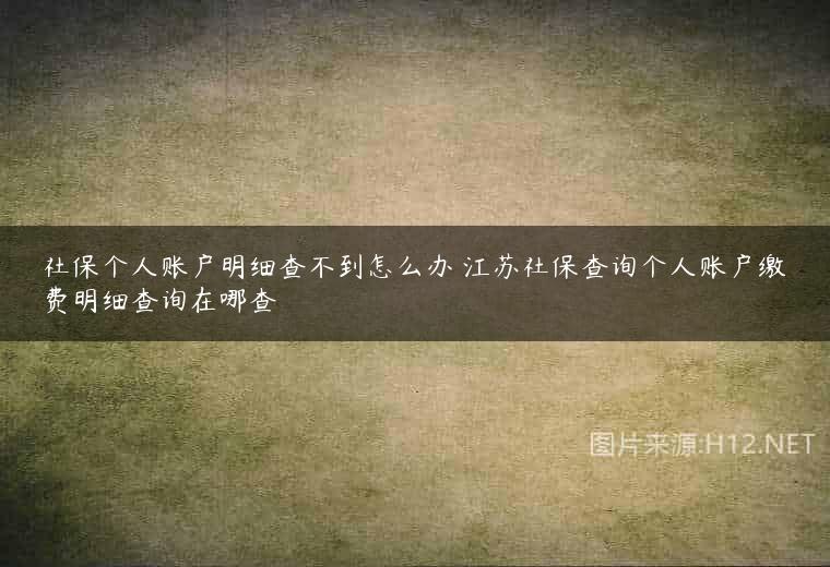社保个人账户明细查不到怎么办 江苏社保查询个人账户缴费明细查询在哪查