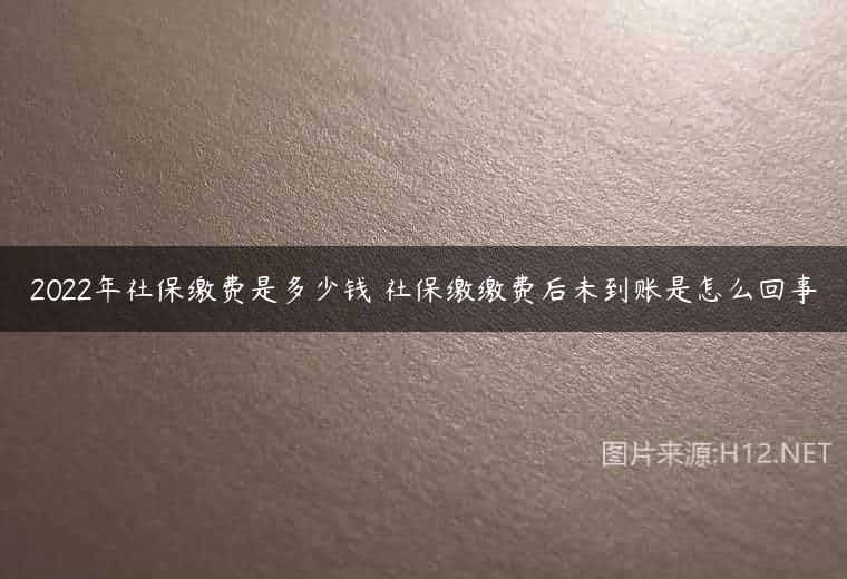 2022年社保缴费是多少钱 社保缴缴费后未到账是怎么回事