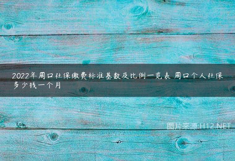 2022年周口社保缴费标准基数及比例一览表 周口个人社保多少钱一个月