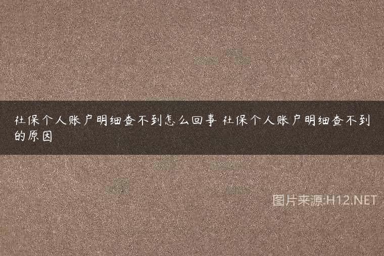 社保个人账户明细查不到怎么回事 社保个人账户明细查不到的原因