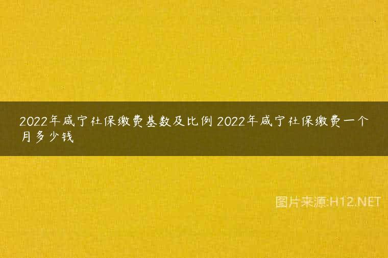 2022年咸宁社保缴费基数及比例 2022年咸宁社保缴费一个月多少钱