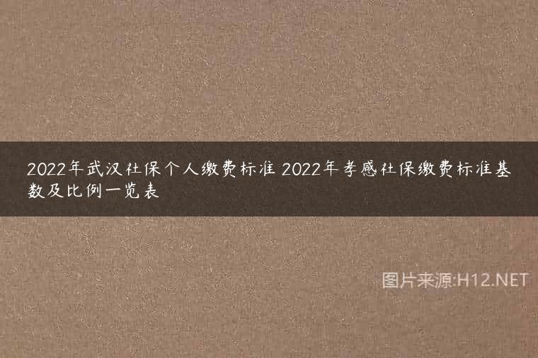 2022年武汉社保个人缴费标准 2022年孝感社保缴费标准基数及比例一览表