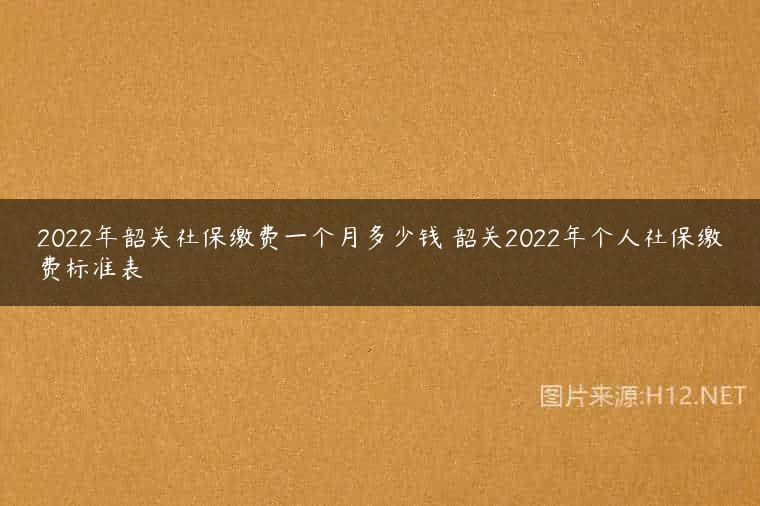 2022年韶关社保缴费一个月多少钱 韶关2022年个人社保缴费标准表