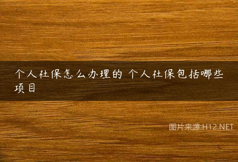 个人社保怎么办理的 个人社保包括哪些项目