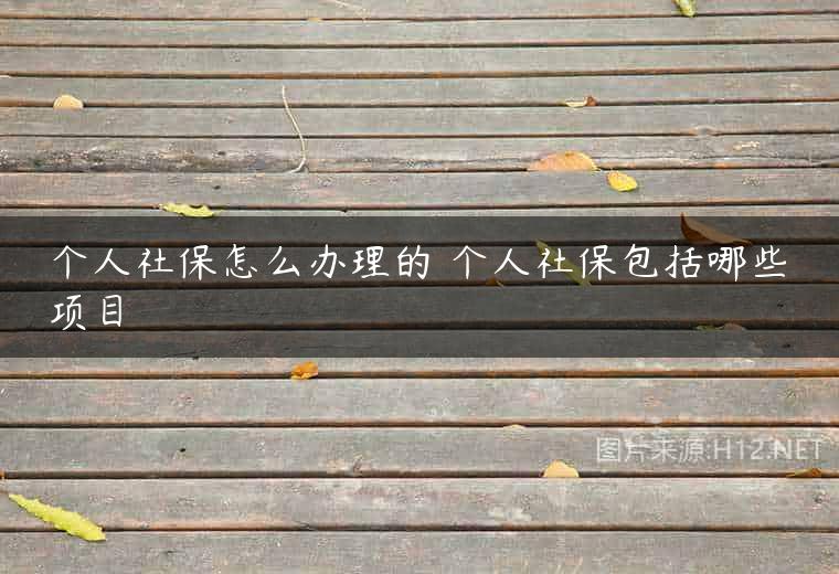 个人社保怎么办理的 个人社保包括哪些项目