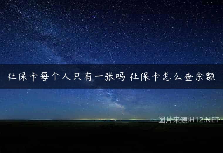 社保卡每个人只有一张吗 社保卡怎么查余额