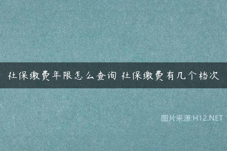 社保缴费年限怎么查询 社保缴费有几个档次