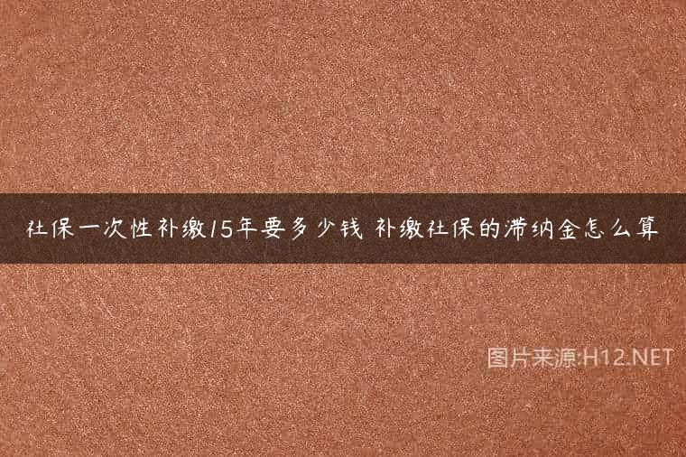 社保一次性补缴15年要多少钱 补缴社保的滞纳金怎么算