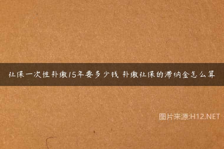 社保一次性补缴15年要多少钱 补缴社保的滞纳金怎么算