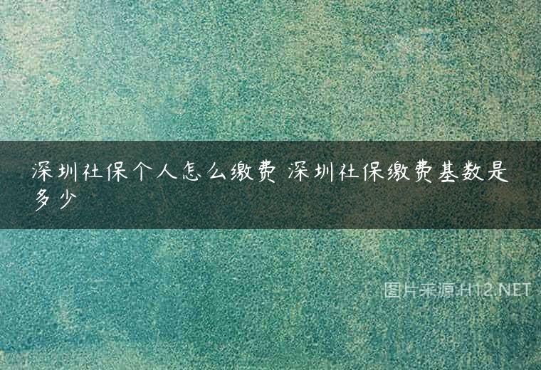 深圳社保个人怎么缴费 深圳社保缴费基数是多少