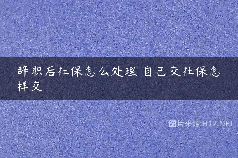 辞职后社保怎么处理 自己交社保怎样交