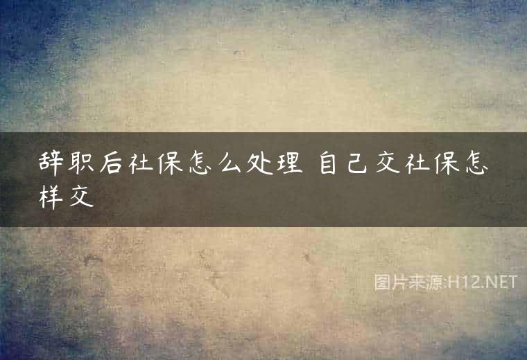 辞职后社保怎么处理 自己交社保怎样交