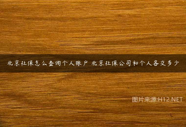 北京社保怎么查询个人账户 北京社保公司和个人各交多少