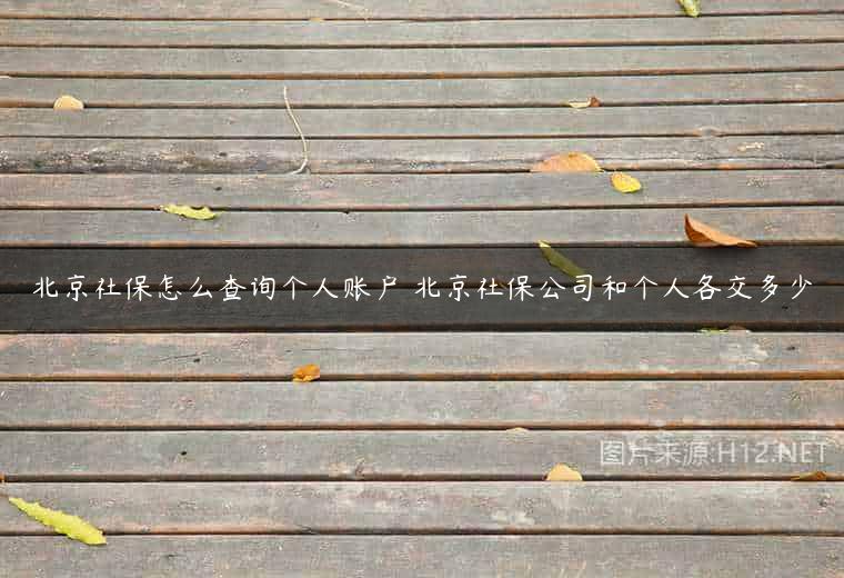 北京社保怎么查询个人账户 北京社保公司和个人各交多少