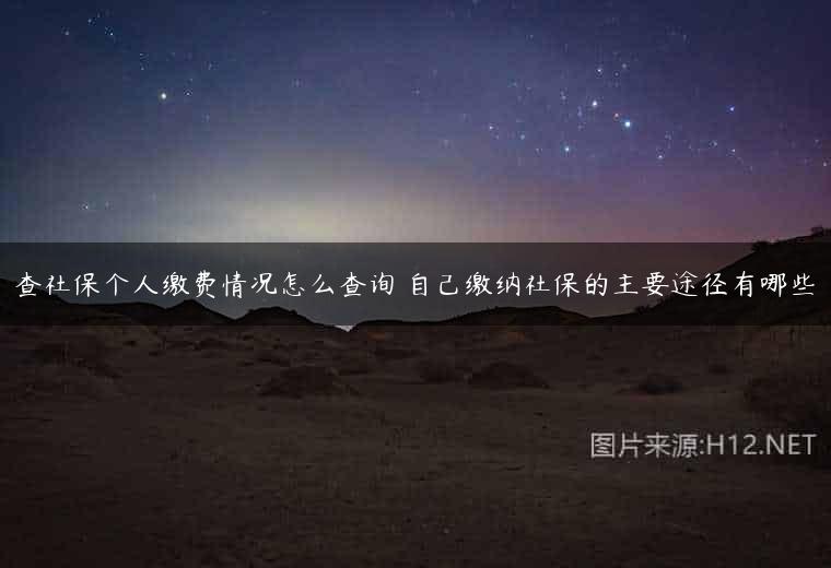 查社保个人缴费情况怎么查询 自己缴纳社保的主要途径有哪些