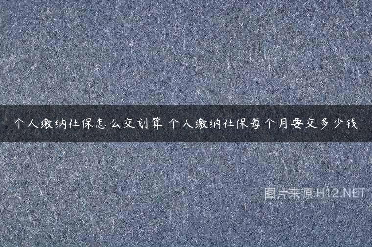 个人缴纳社保怎么交划算 个人缴纳社保每个月要交多少钱